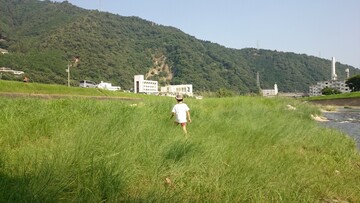 ファシリテートスクール　きらぼし学舎　ロゴ