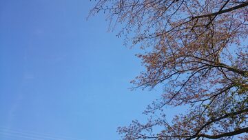 ファシリテートスクール　きらぼし学舎　ロゴ