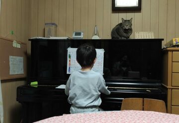ファシリテートスクール　きらぼし学舎　ロゴ