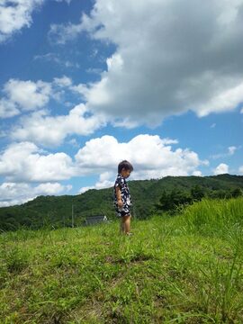 ファシリテートスクール　きらぼし学舎　ロゴ