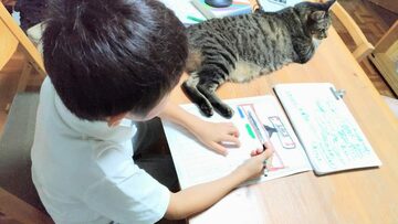ファシリテートスクール　きらぼし学舎　ロゴ