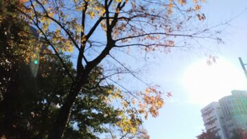 ファシリテートスクール　きらぼし学舎　ロゴ