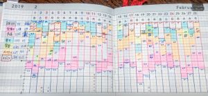 ファシリテートスクール　きらぼし学舎　ロゴ