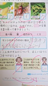 ファシリテートスクール　きらぼし学舎　ロゴ