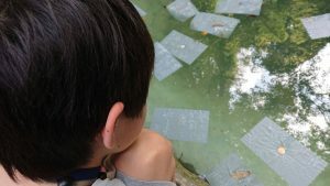 ファシリテートスクール　きらぼし学舎　ロゴ