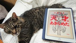 ファシリテートスクール　きらぼし学舎　ロゴ