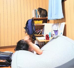 ファシリテートスクール　きらぼし学舎　ロゴ