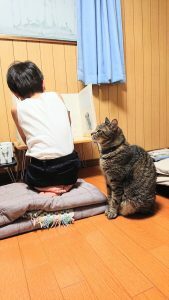 ファシリテートスクール　きらぼし学舎　ロゴ