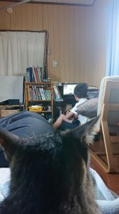 ファシリテートスクール　きらぼし学舎　ロゴ