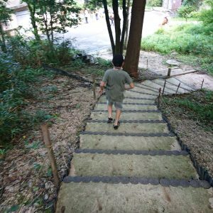 ファシリテートスクール　きらぼし学舎　ロゴ