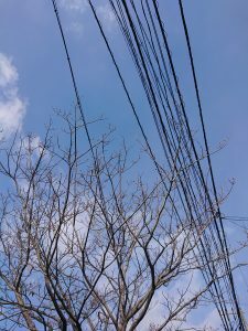 ファシリテートスクール　きらぼし学舎　ロゴ